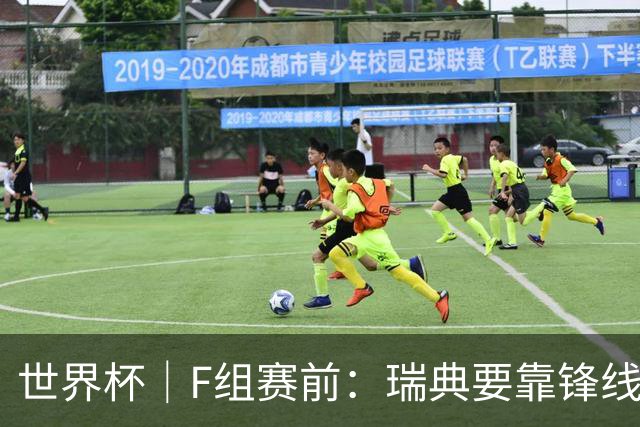 世界杯｜F组赛前：瑞典要靠锋线双星 突尼斯欲出线
